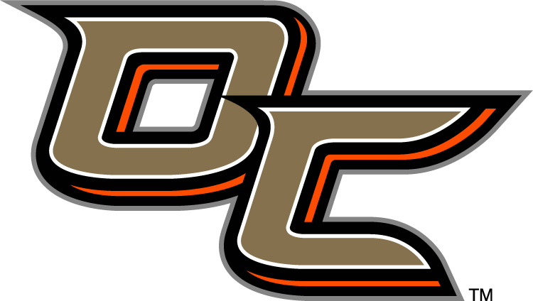 Anaheim Ducks 2014 Special Event Logo iron on transfers for fabric